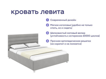 Кровать Димакс Левита + матрас Базилик Энерджи 24 медиум 1472